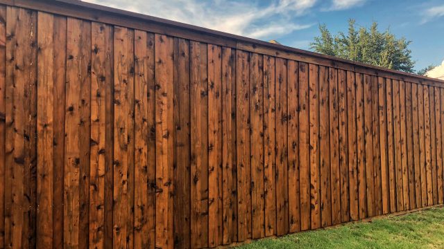 5 Questions to Ask Before Hiring a Lake Buena Vista Fence Company