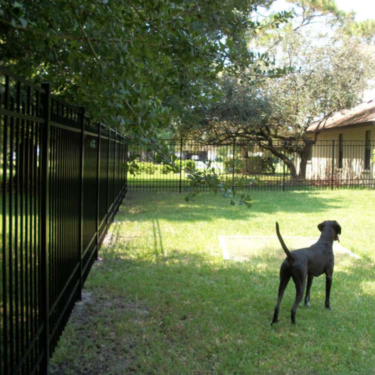 https://ded6429.inmotionhosting.com/~super126/wp-content/uploads/2022/11/Arkansas-Dog-Fence.jpg
