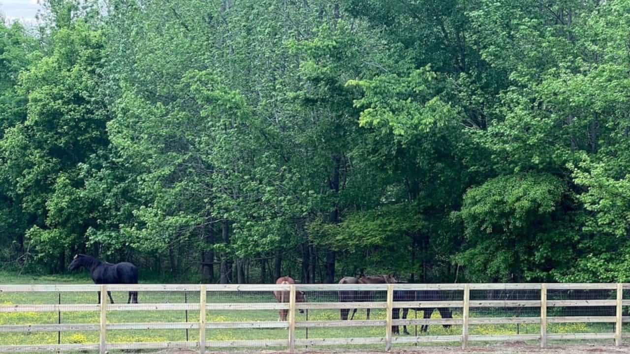 wire fence ideas wood and wire