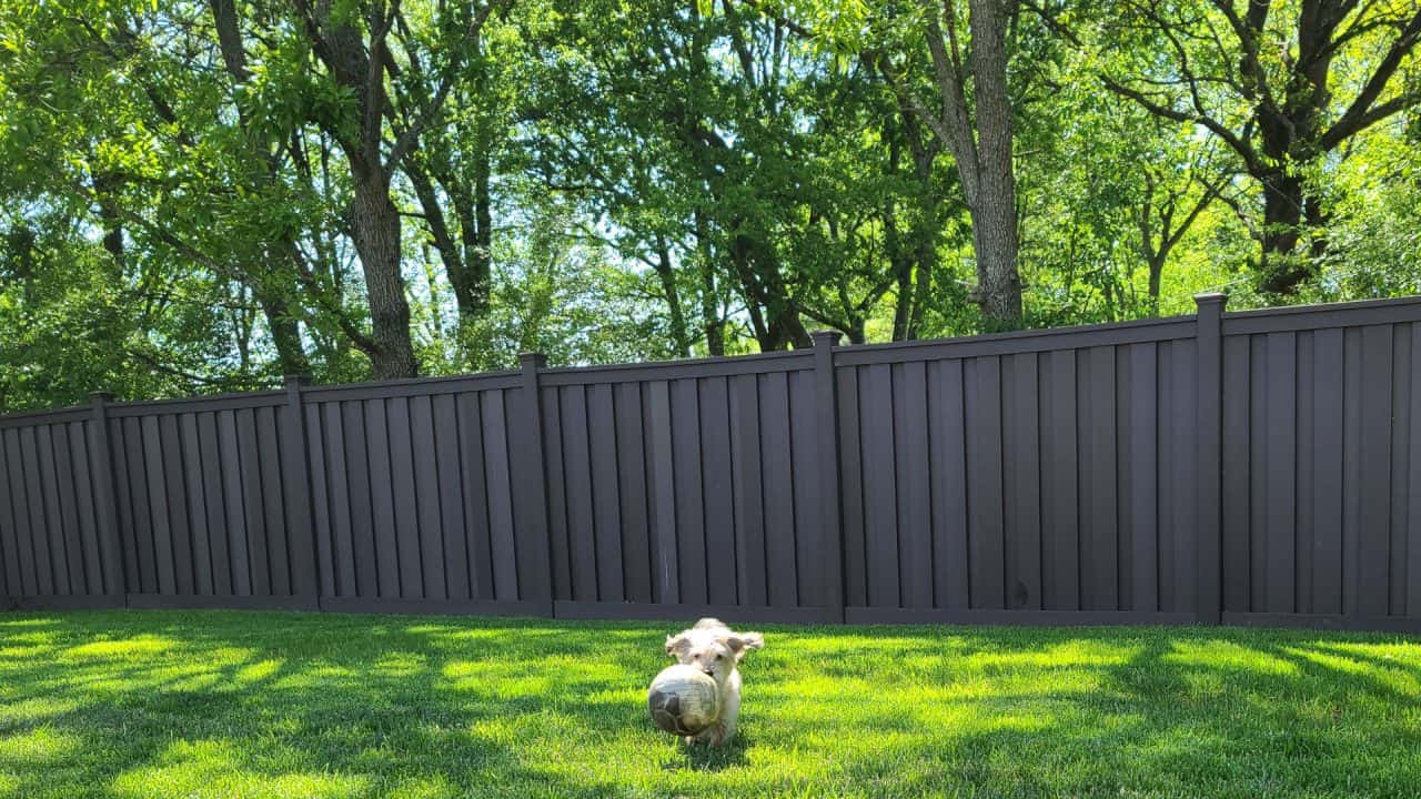Dog fence Trex fence