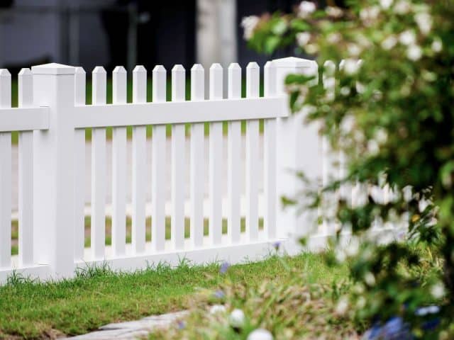 How Big of a St. Augustine Dog Fence Do You Need?