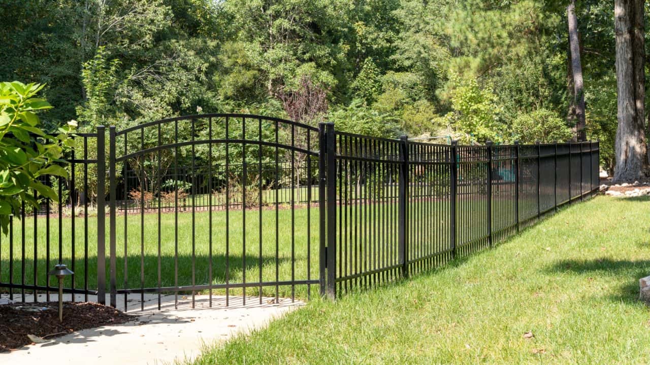 black steel fence in yard