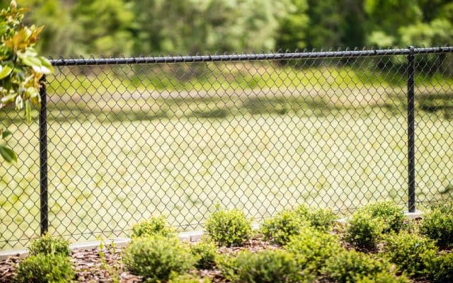 chain link fences dalton ga