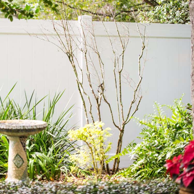 jacksonville fence company