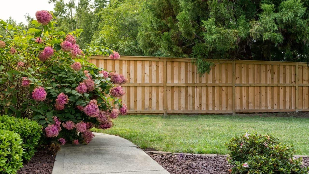how to choose the best garden fence