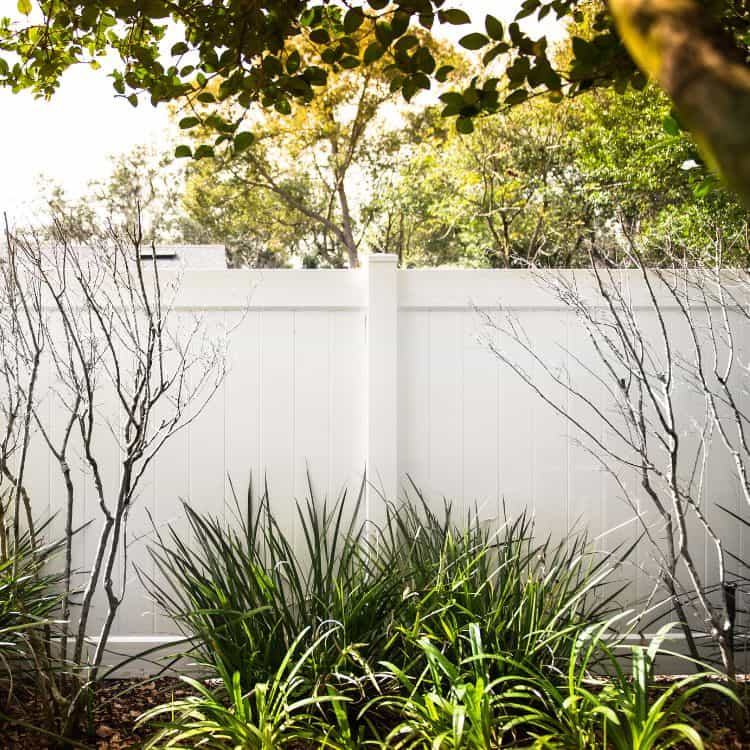 Privacy Fence Options