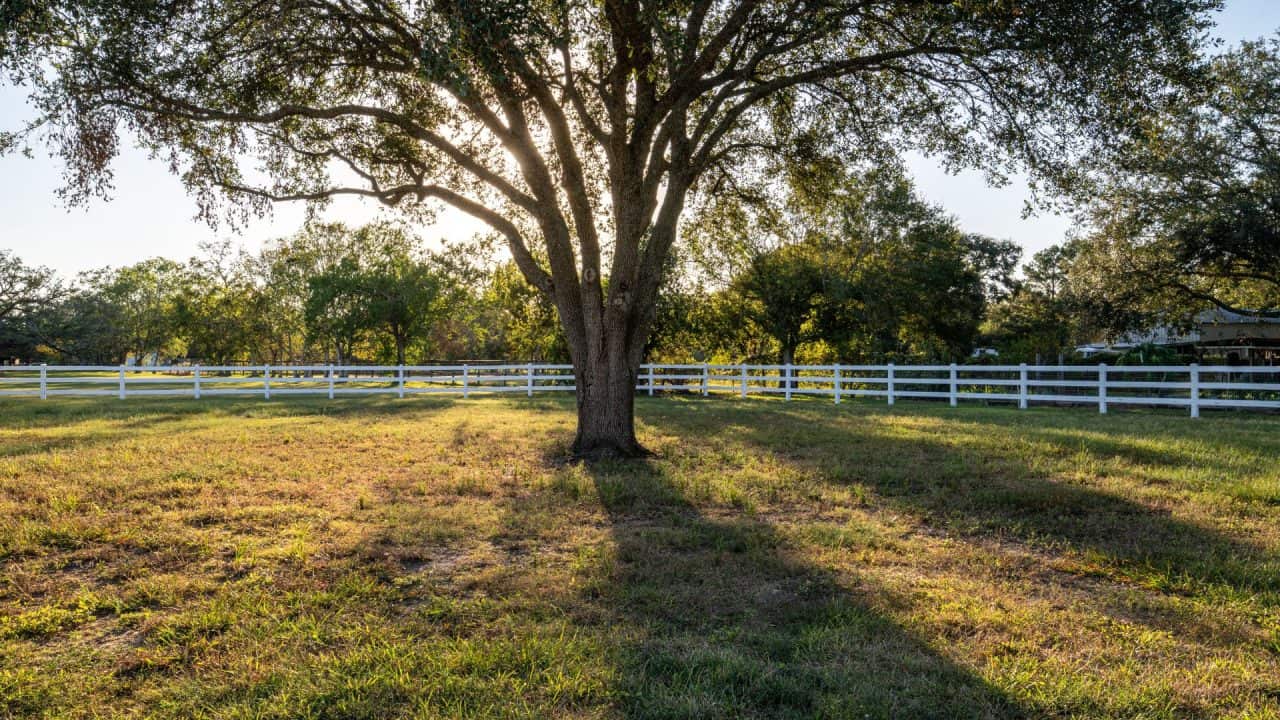 ranch style fences