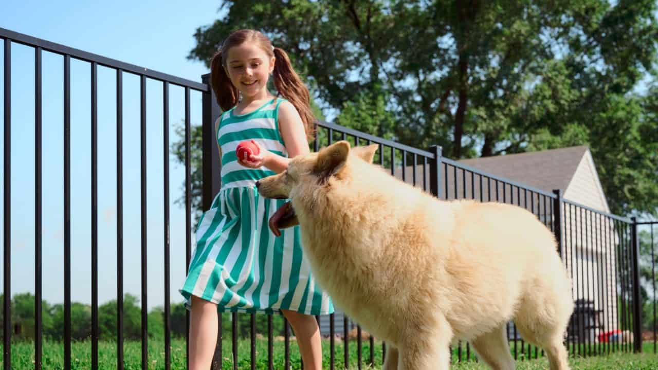 fence finance options