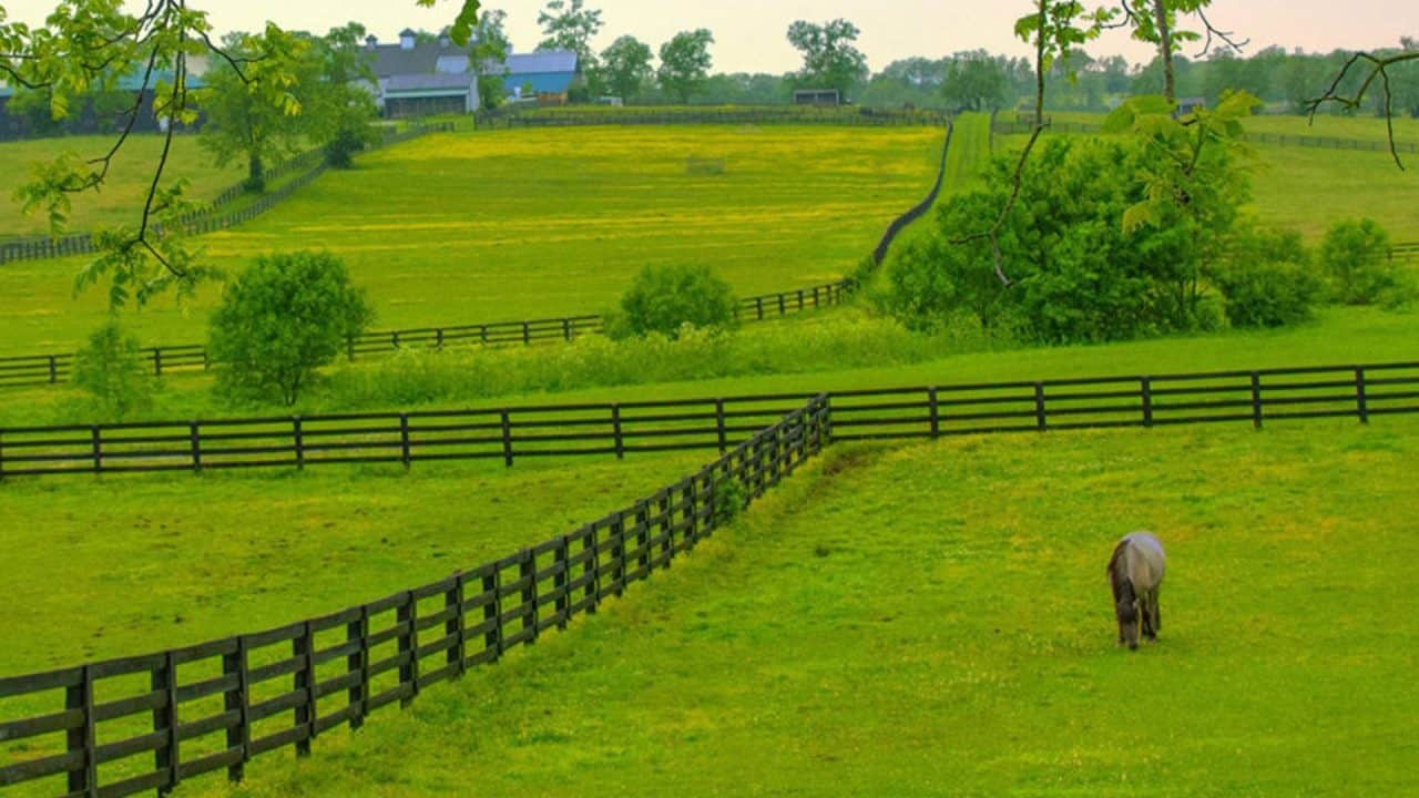 horse fence builders