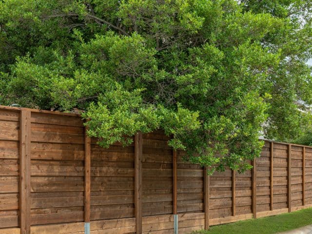 The Benefits of Having a “Soundproof” Fence for Your Home