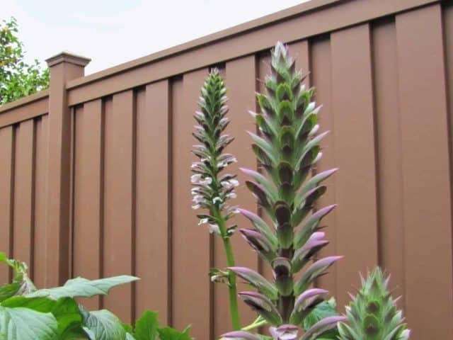 Your Spring Garden Deserves a Fence from the Top Brookfield Fence Company