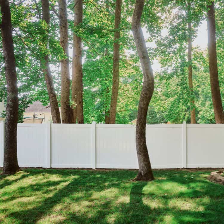Blue Springs fence companies
