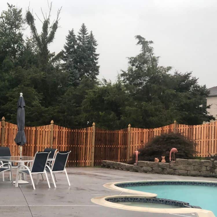 longevity of cedar fencing