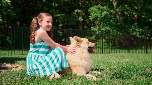 spring lake fence company