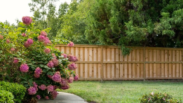Choosing The Best Fence Company Cape Coral for Home Gardens