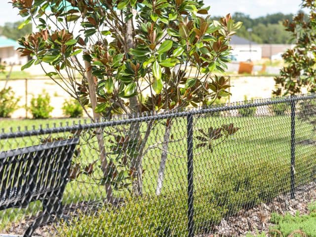 What Types of Fences Can a Fence Company Near Me Install?
