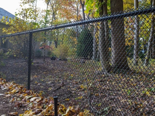 Most Trusted Solution for Hurricane Fence Richmond, VA