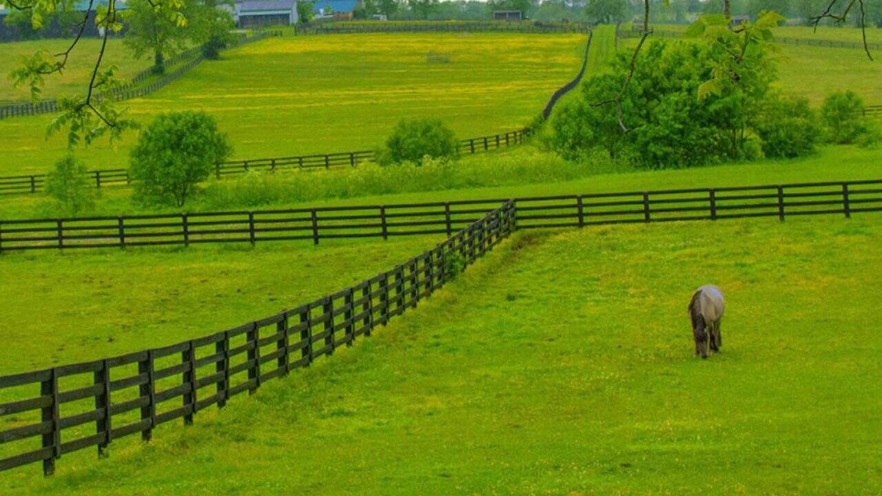 Local Kentucky 4 board fence builders