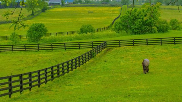 What Makes a Good Kentucky 4 Board Fence?