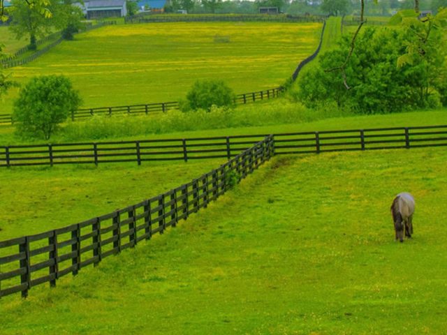 What Makes a Good Kentucky 4 Board Fence?