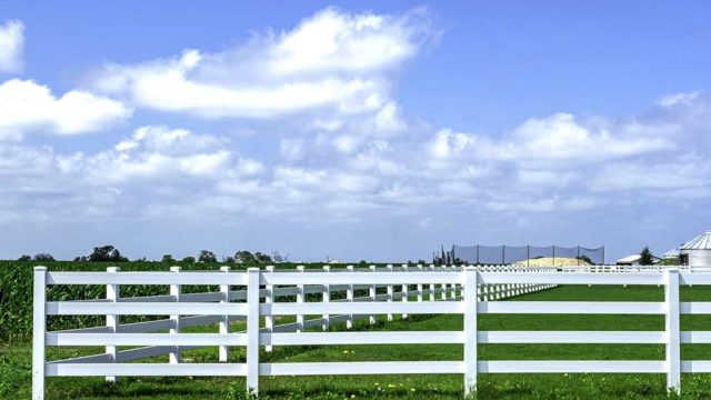 kentucky 4 board fence options