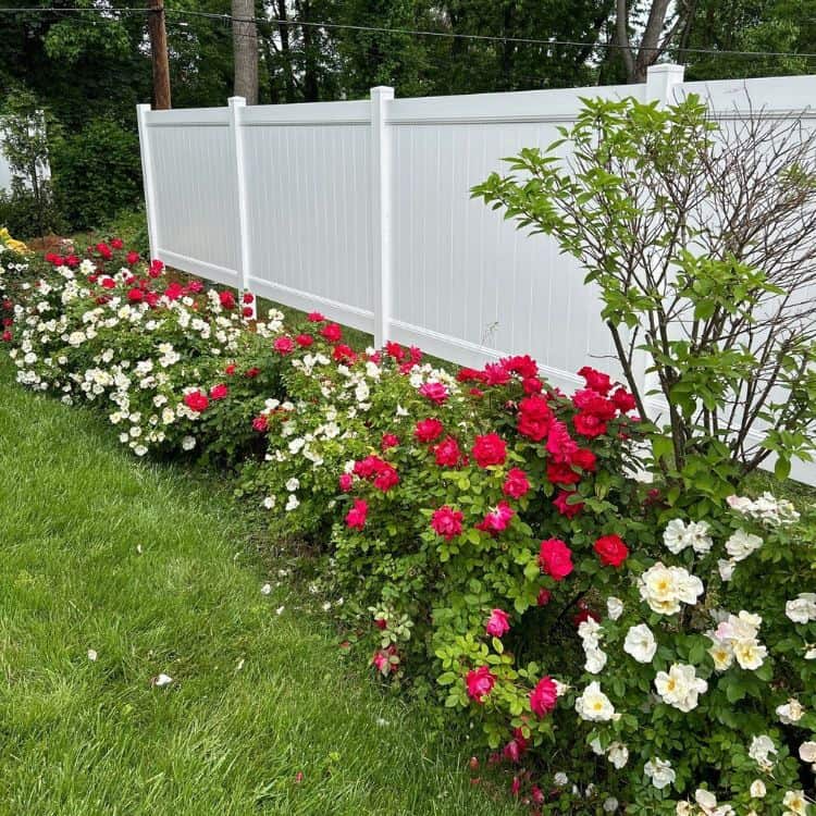 Finding Orange Fence Co. Orange CT