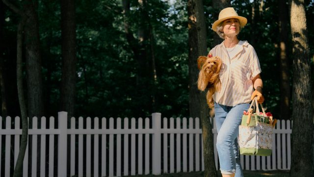 vinyl dog fence ideas