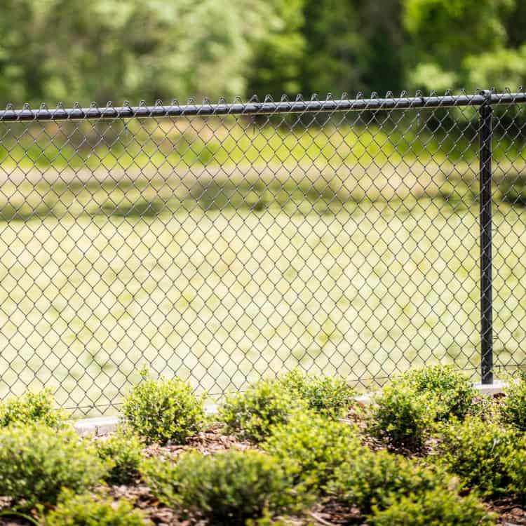 garden fences near me