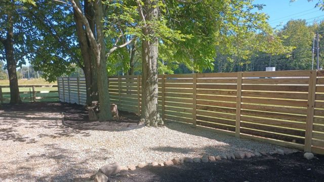 fencing contractors in my area