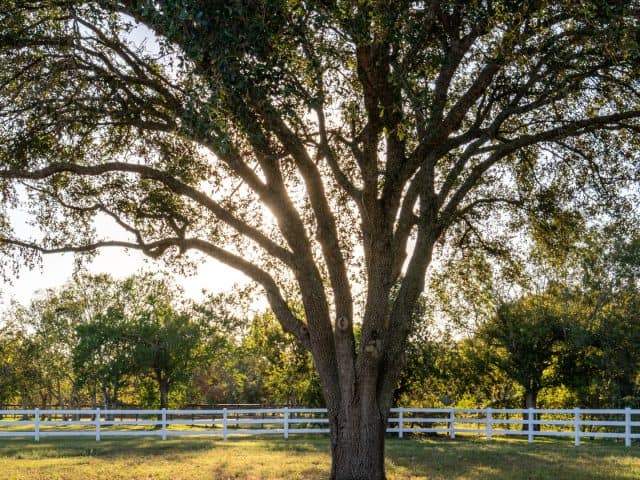 Discover the Perfect Ranch Fence for Your Treasure Valley Property