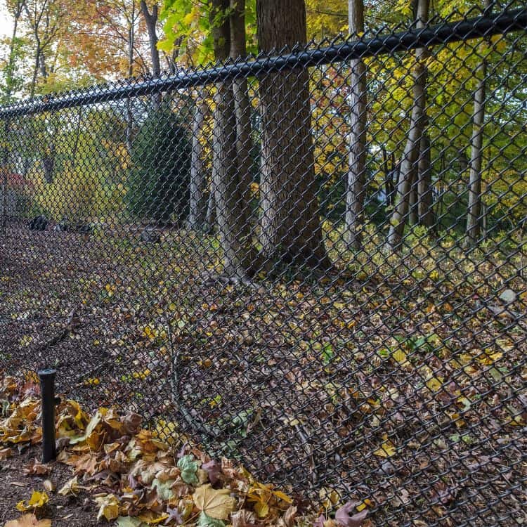 Fences in Springfield MO