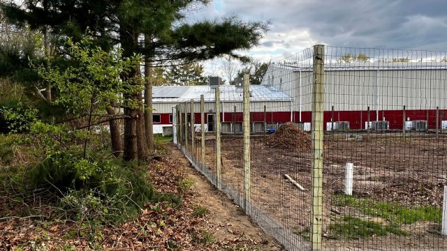 deer resistant garden fences