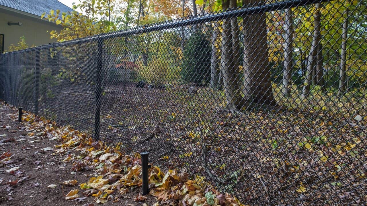 Chain LinkFences in Springfield MO