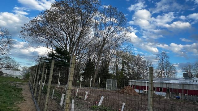 neptune city fence company