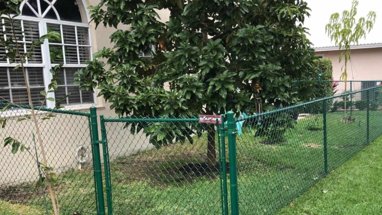 chain link fence cost