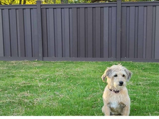 If You’re Looking For Composite Fence Near Me, It’s Superior Fence & Rail Of Salt Lake City