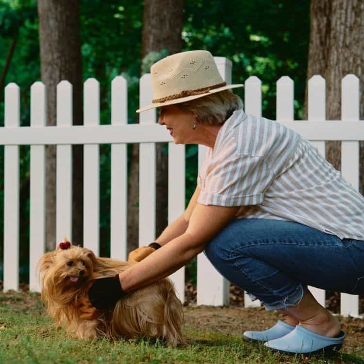 Safe alternatives to invisible fence St Louis MO