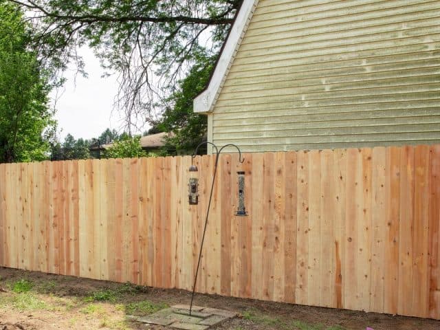 Best Backyard Fence Company To Transform Your Backyard