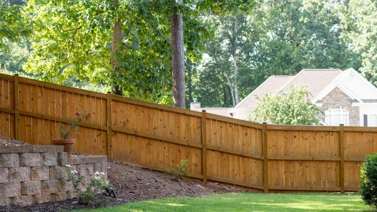 Cedar fence