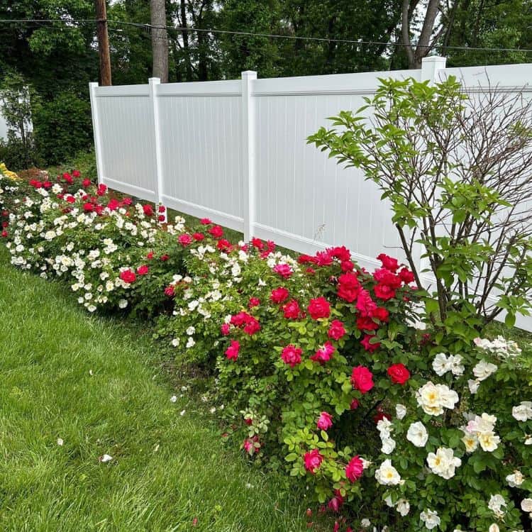 Best fencing Albany NY