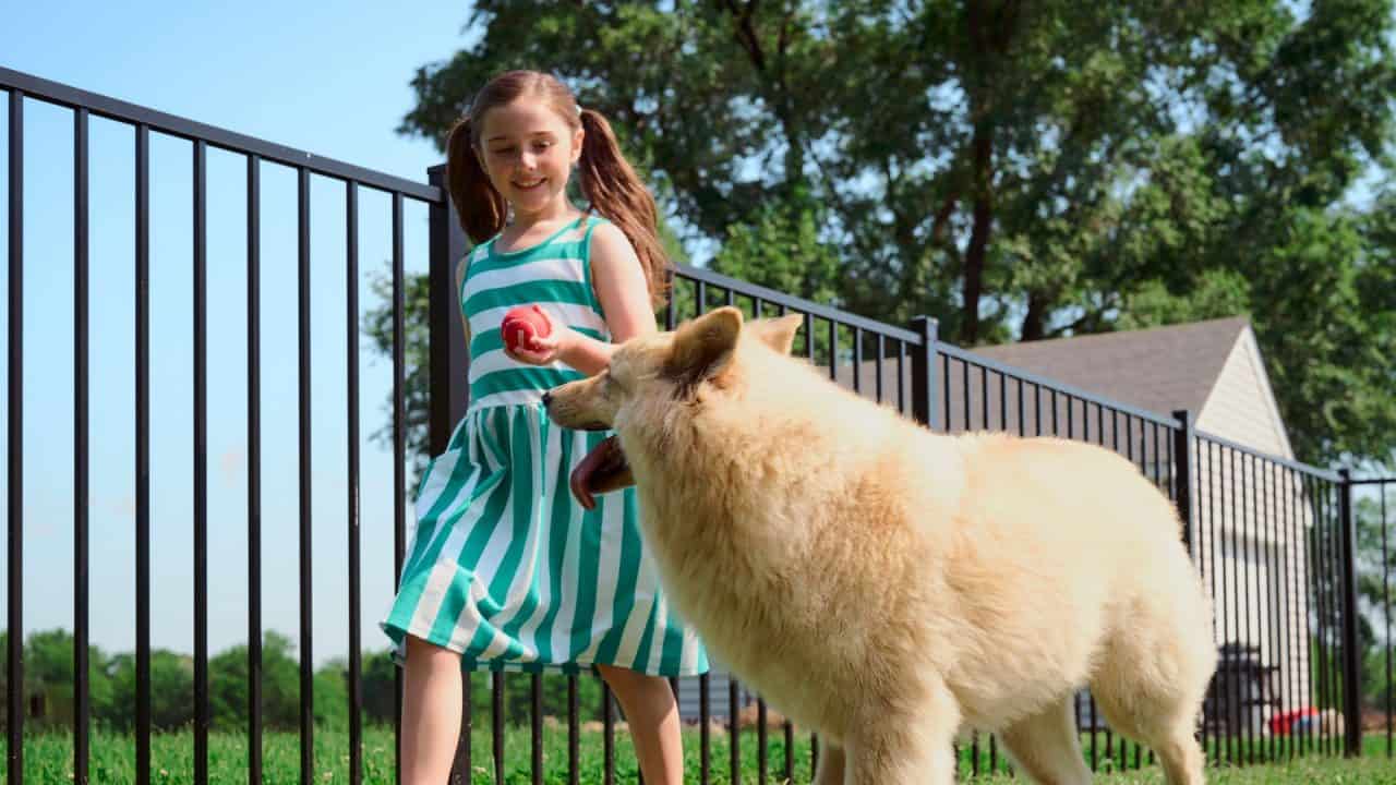 fence company rock hill sc