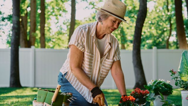 best vegetable garden fences