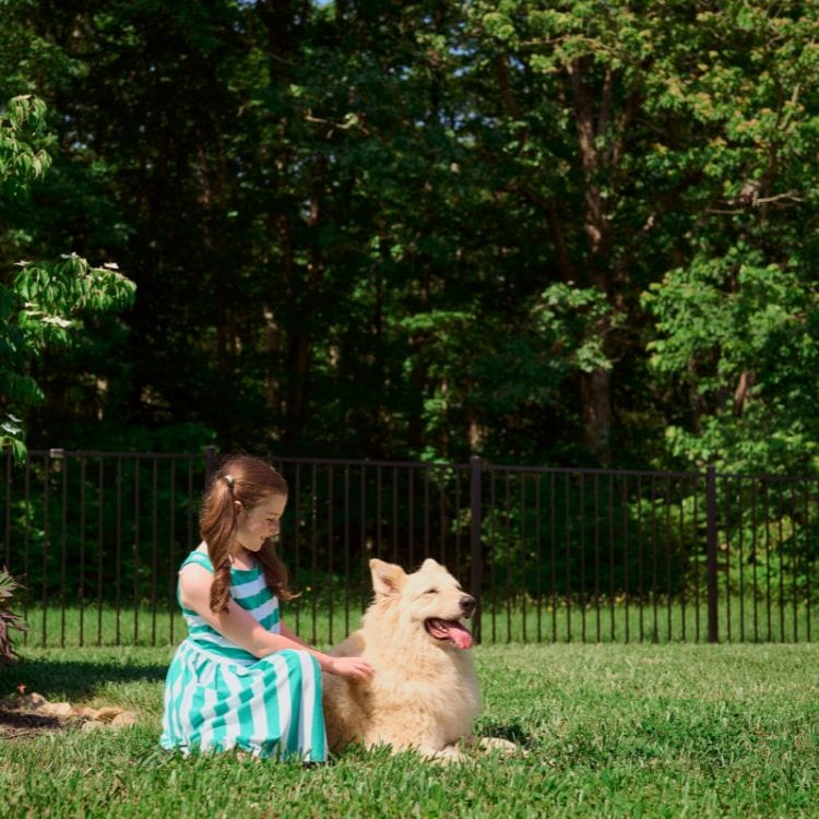 Your West Chester Fence Authority is Superior Fence And Rail