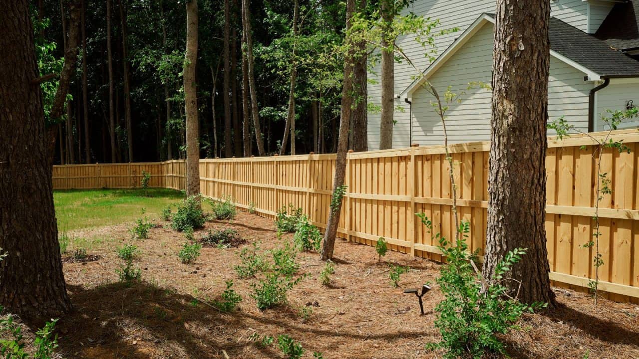 Albany Backyard Fence