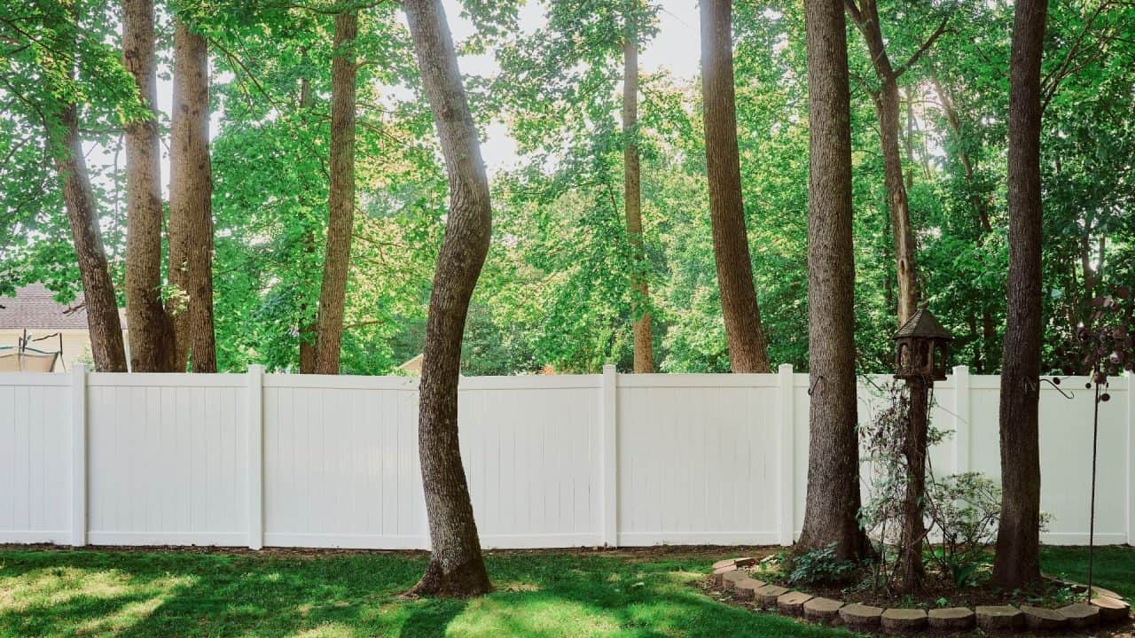 Dog Fence Ideas