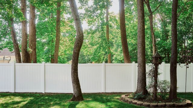 Keeping Your Furry Pals Safe With The Best Dog Fence Ideas