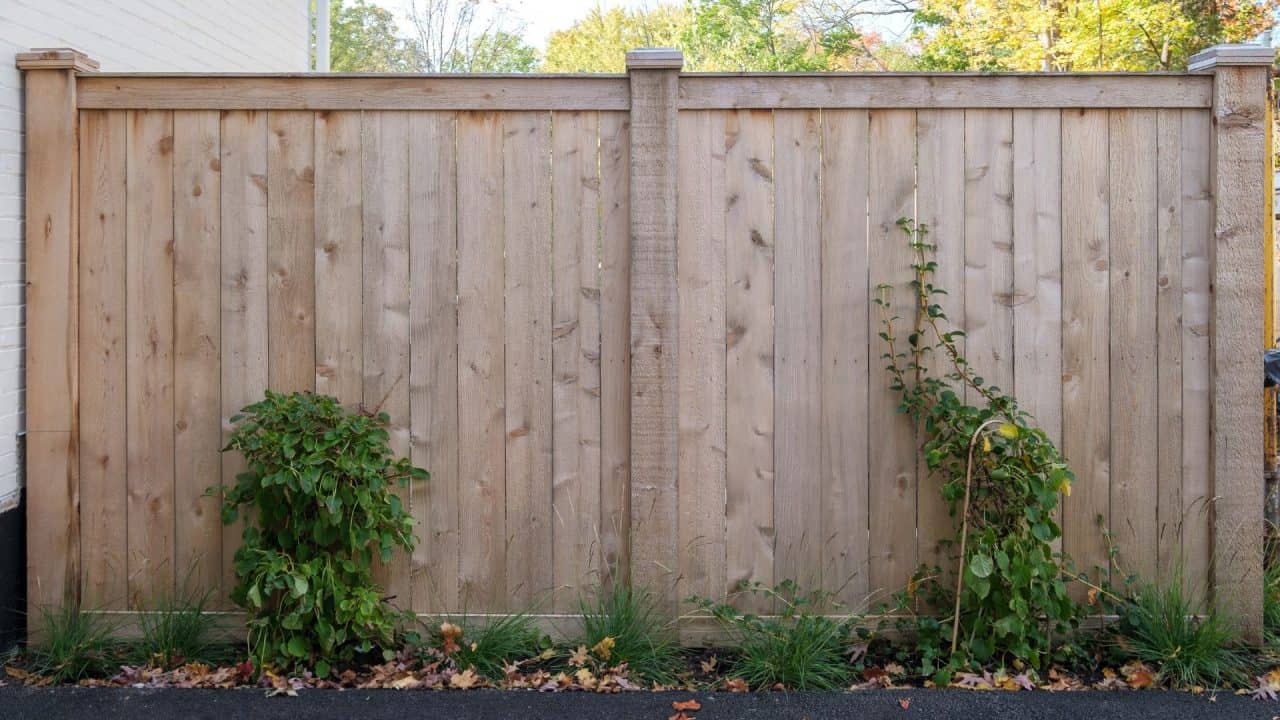 Englewood cedar fence builders