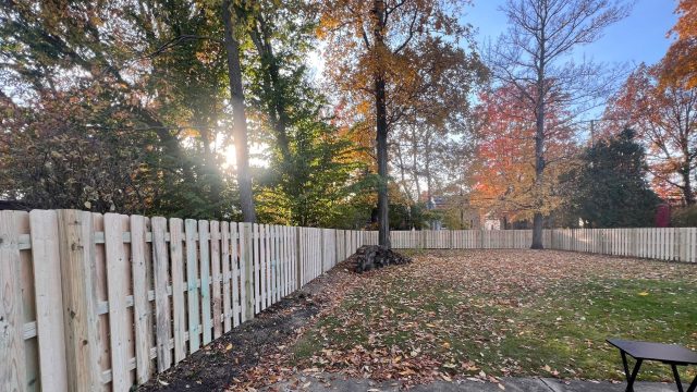 professional fence installation near me