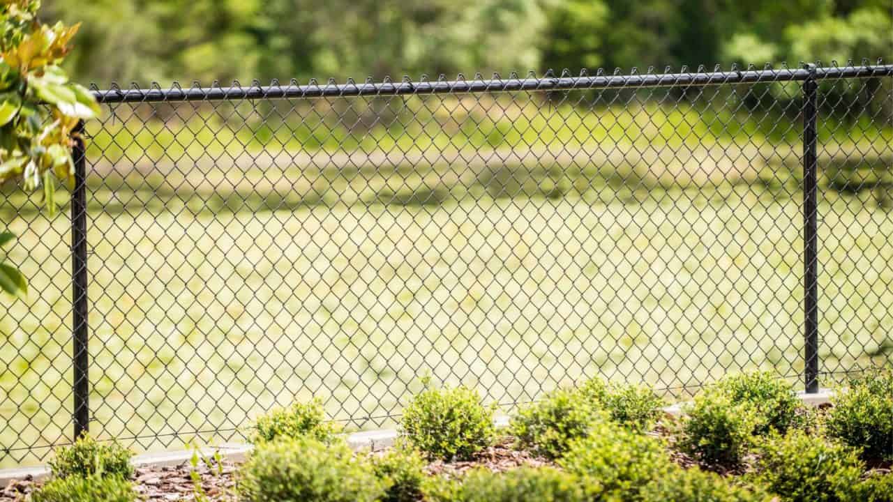 exploring frost fence cost