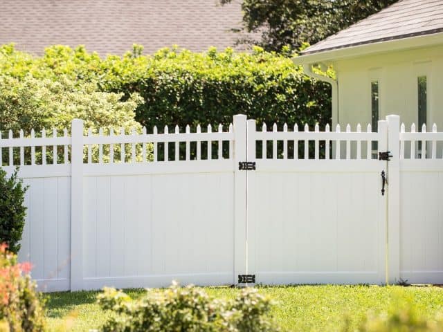 Between The Pickets: Tales of a Backyard Fence Installation